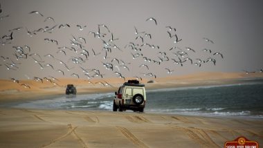 Offroad Playa De Mauritania