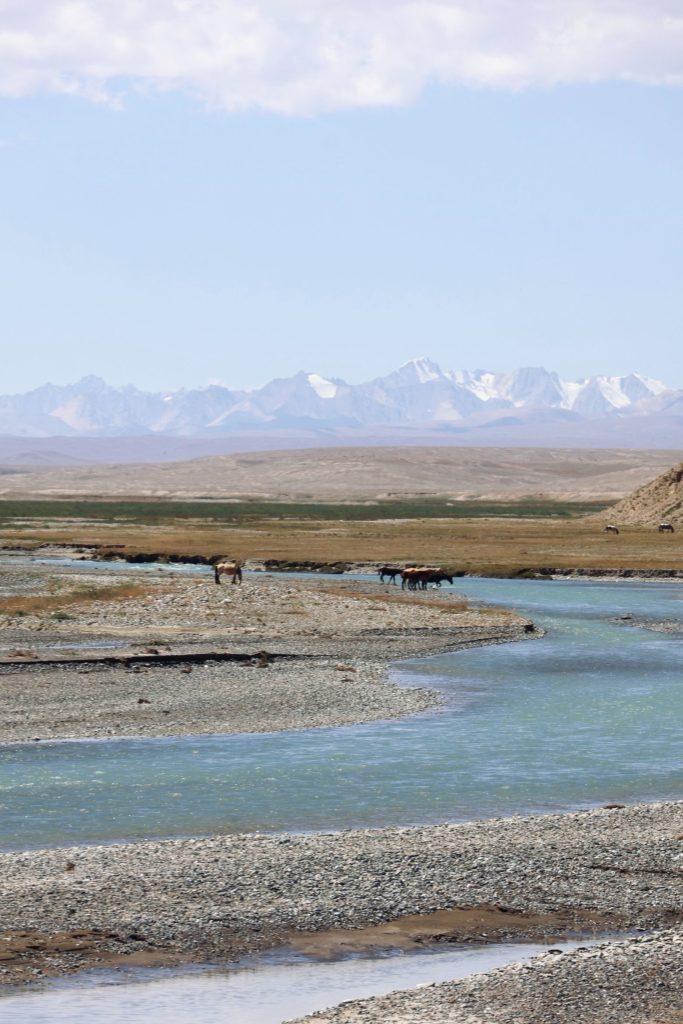 Kirguistan En 4x4 4310