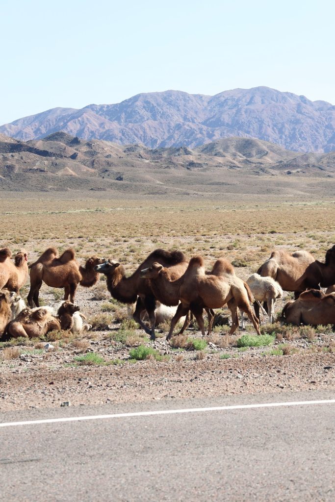 Kirguistan En 4x4 4312